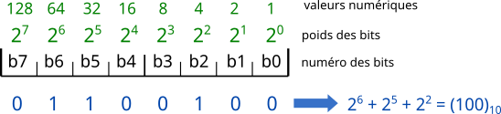 structCodageOctet